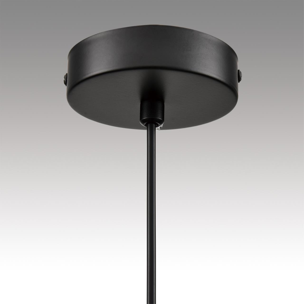 Подвесной светильник Lumion NATALINA 8232/1