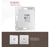 Розетка интернет RJ45 Arte Milano 206.45-1.silver