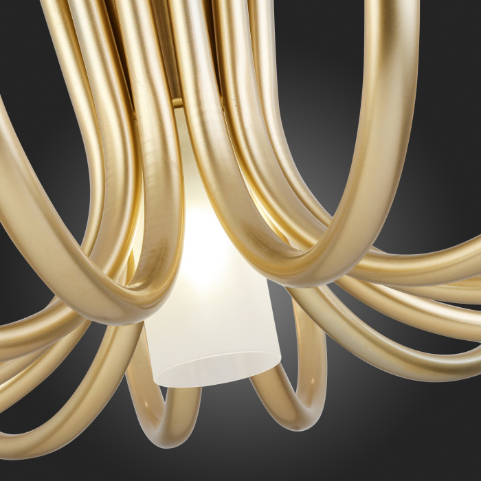 Потолочная люстра ST Luce PAFE SL1173.202.13