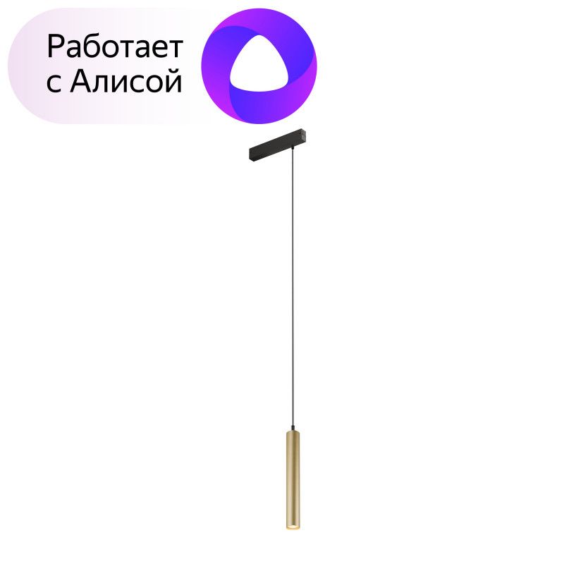 

Светильник трековый Denkirs Smart DK8008-BG, DK8008-BG