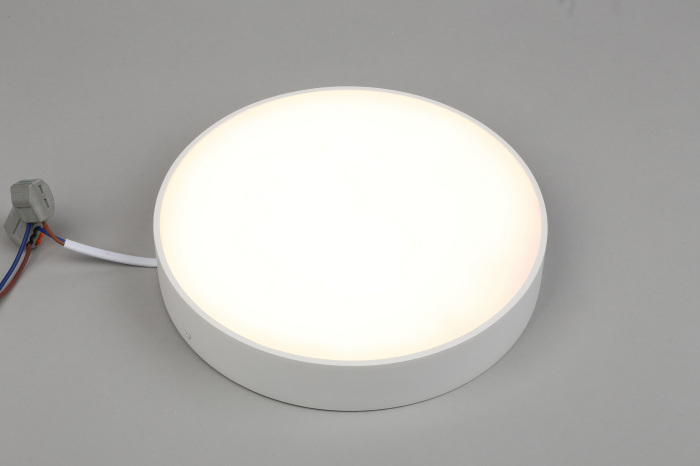 Потолочный светильник круглый светодиодный Aployt APL.0113.09.24