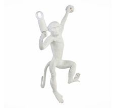 Настенный светильник Evoluce с мартышкой TENATO SLE115111-01