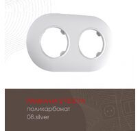 Рамка из поликарбоната на 2 поста Arte Milano 502.08-2.silver