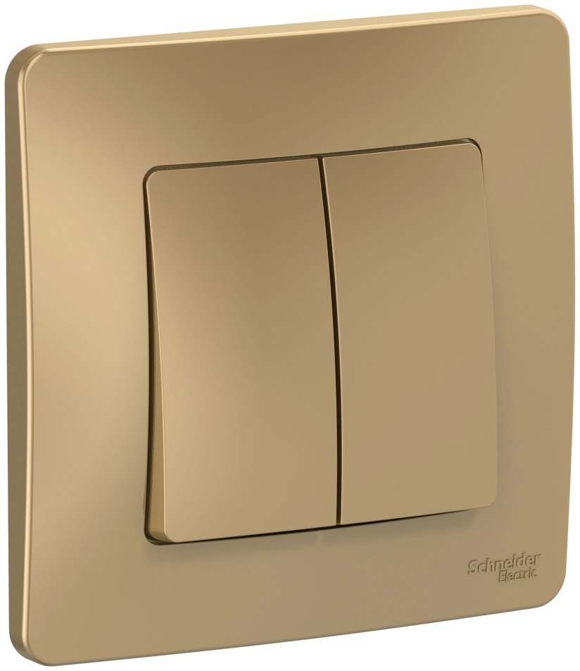 Выключатель встраиваемый двухклавишный (титан) Systeme Electric BLNVS106604