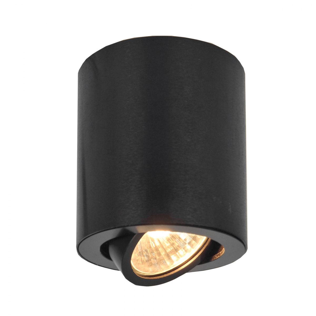 Накладной светильник CitiLux поворотный Дюрен CL538113