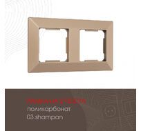Рамка из поликарбоната на 2 поста Arte Milano 503.03-2.shampan