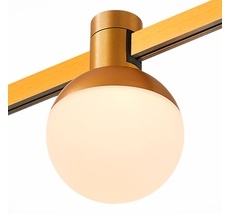 Трековый светильник ST LUCE FARM ST815.246.05