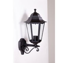 Настенный уличный фонарь IP44 PETERSBURG 79801M/02 Bl Oasis Light 79801M/02 Bl_OL
