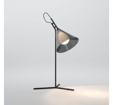 Настольная лампа Eurosvet Enigma a069059_EU