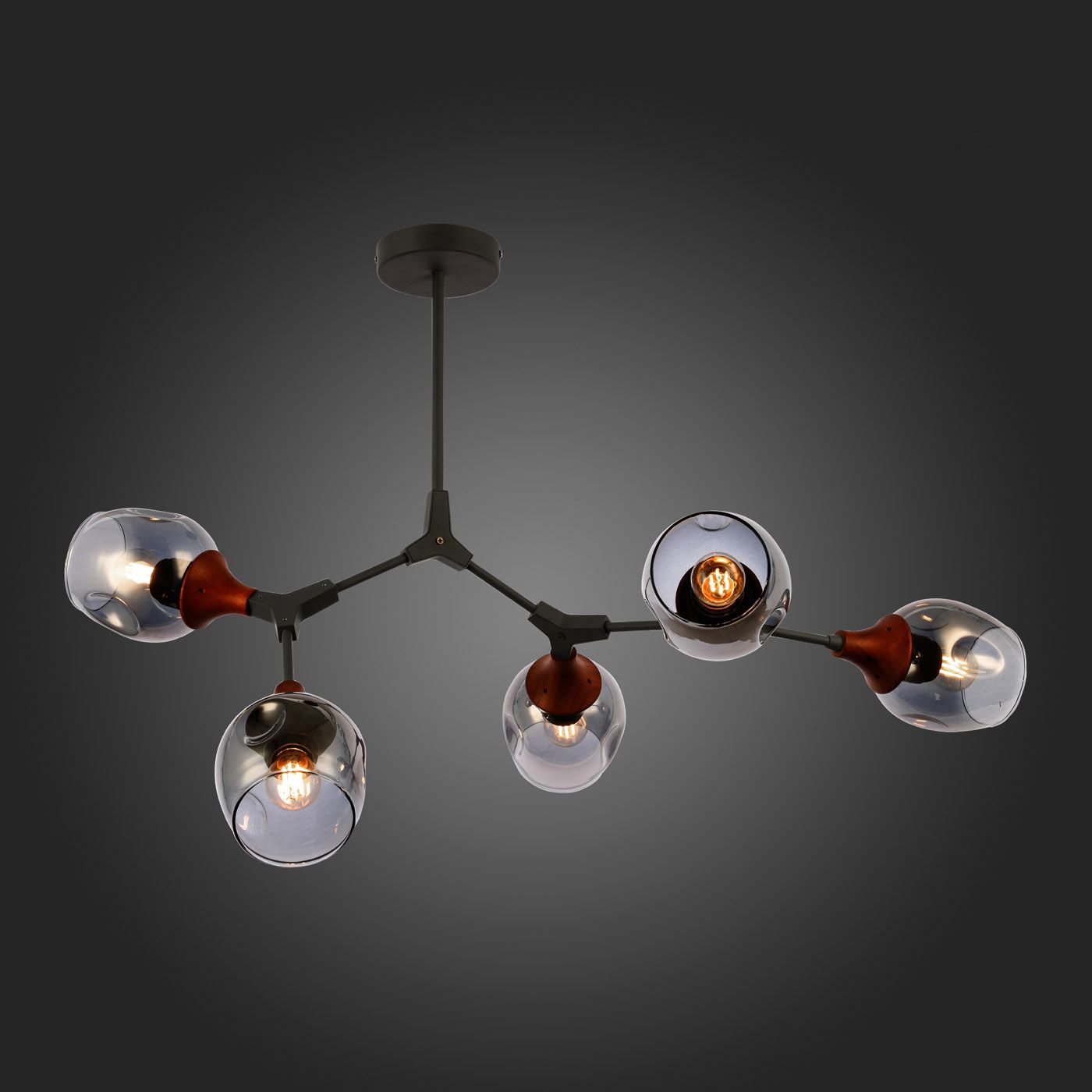 Потолочная люстра Evoluce CIOTOLLA SLE113402-05