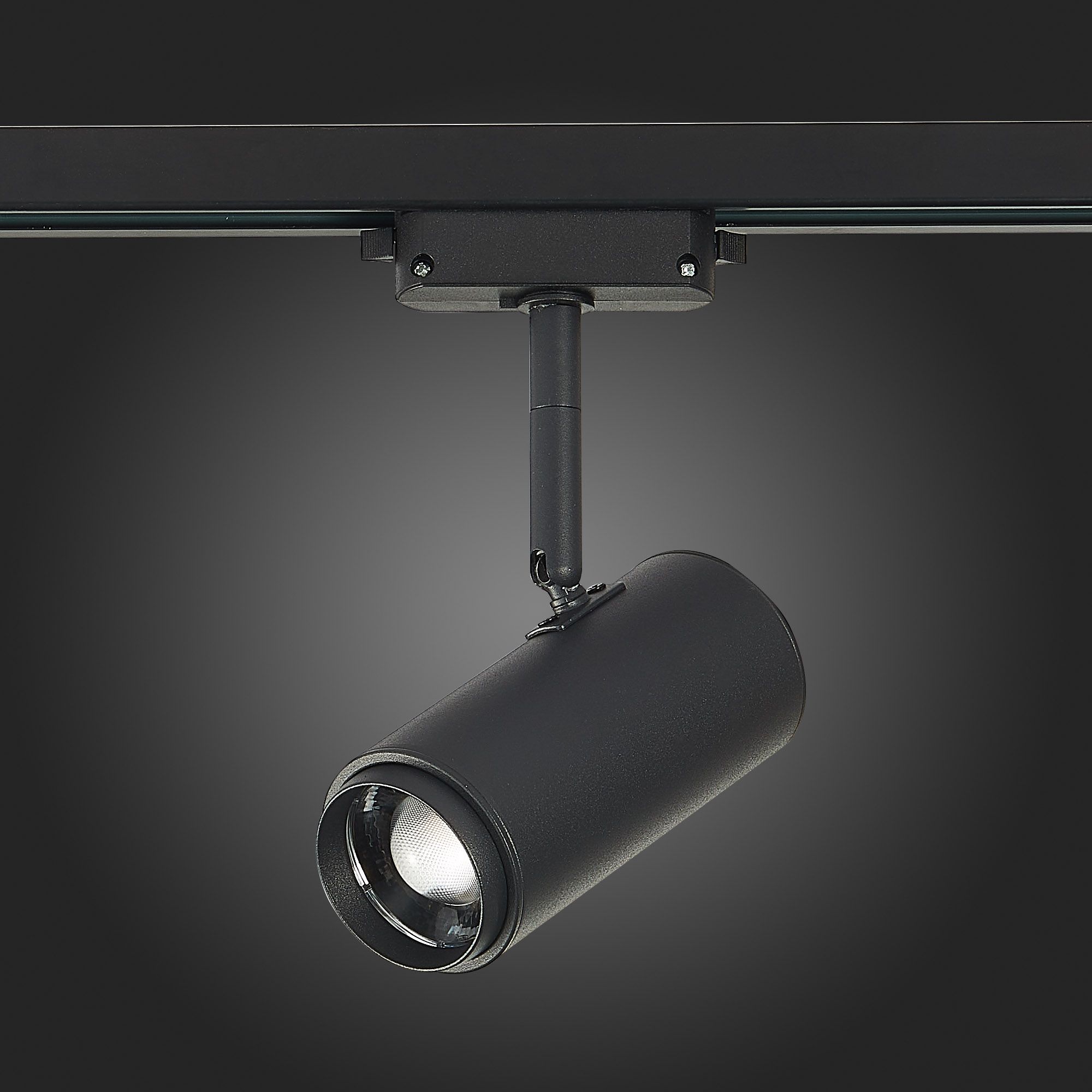 Трековый светильник ST Luce однофазный Zoom ST600.446.12