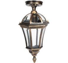 Потолочный светильник уличный IP44 Oasis Light 95205SA Gb_OL