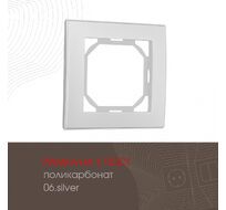 Рамка из поликарбоната на 1 пост Arte Milano 503.06-1.silver