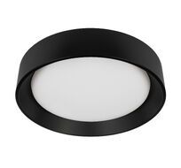 Потолочный светильник LOFT IT Coin 10202 BB_LF