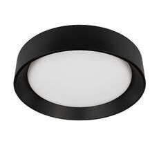 Потолочный светильник LOFT IT Coin 10202 BB_LF