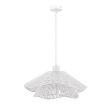 Подвесной светильник Evoluce VERVE SLE6023-503-01