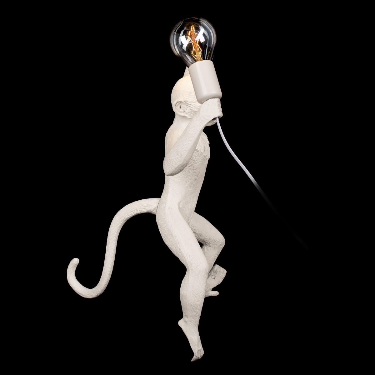 Настенный светильник Loft IT Monkey 10314W/A_LF