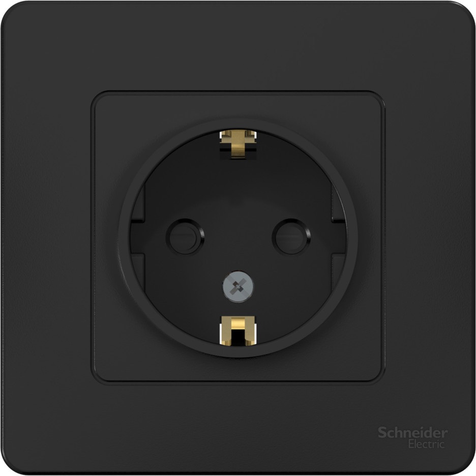 Розетка встраиваемая с заземлением и шторками (антрацит) Systeme Electric BLNRS001116