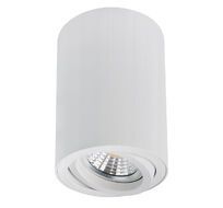 Точечный накладной светильник Arte Lamp SENTRY A1566PL-1WH