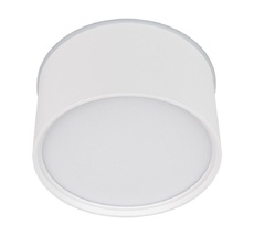 Потолочный накладной светильник Arlight CYLINDO 041247_ARL