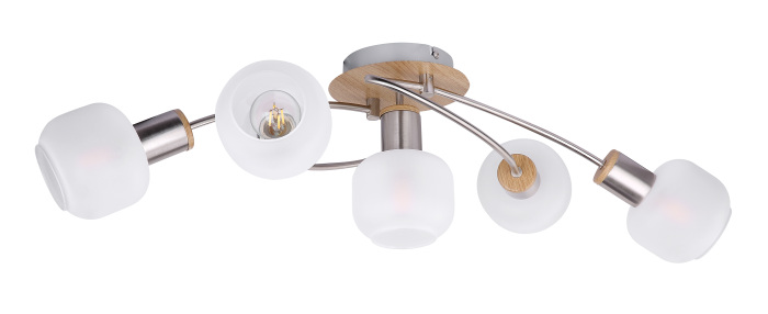 Потолочная люстра Globo LOGGI 54302-5_GL