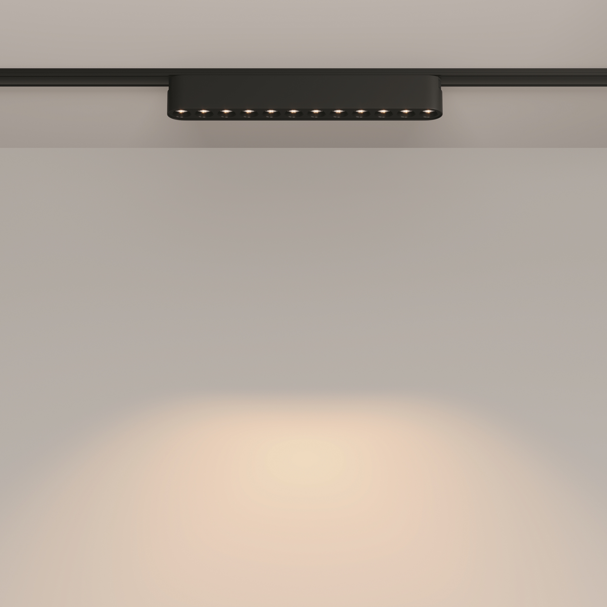 Трековый светильник Maytoni Points TR082-1-12W3K-M-B_MY