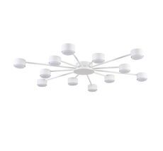 Потолочная люстра LUMION TORINA 8343/12C