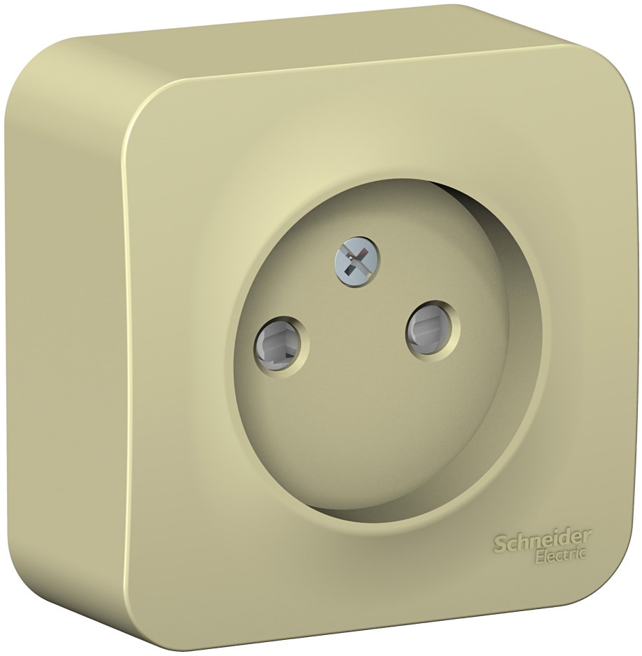 Розетка накладная без заземления со шторками (бежевый) Systeme Electric BLNRA001117
