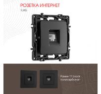 Розетка интернет RJ45 Arte Milano 217.45-1.black