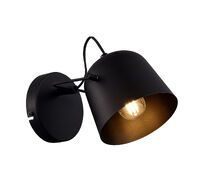 Настенный светильник EVOLUCE BLANK SLE1805-401-01