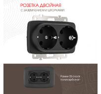 Розетка двойная с заземлением 16A 250V Arte Milano 205.40-2.black