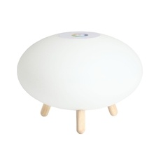 Настольная лампа De Markt Арлон 812030801_MW