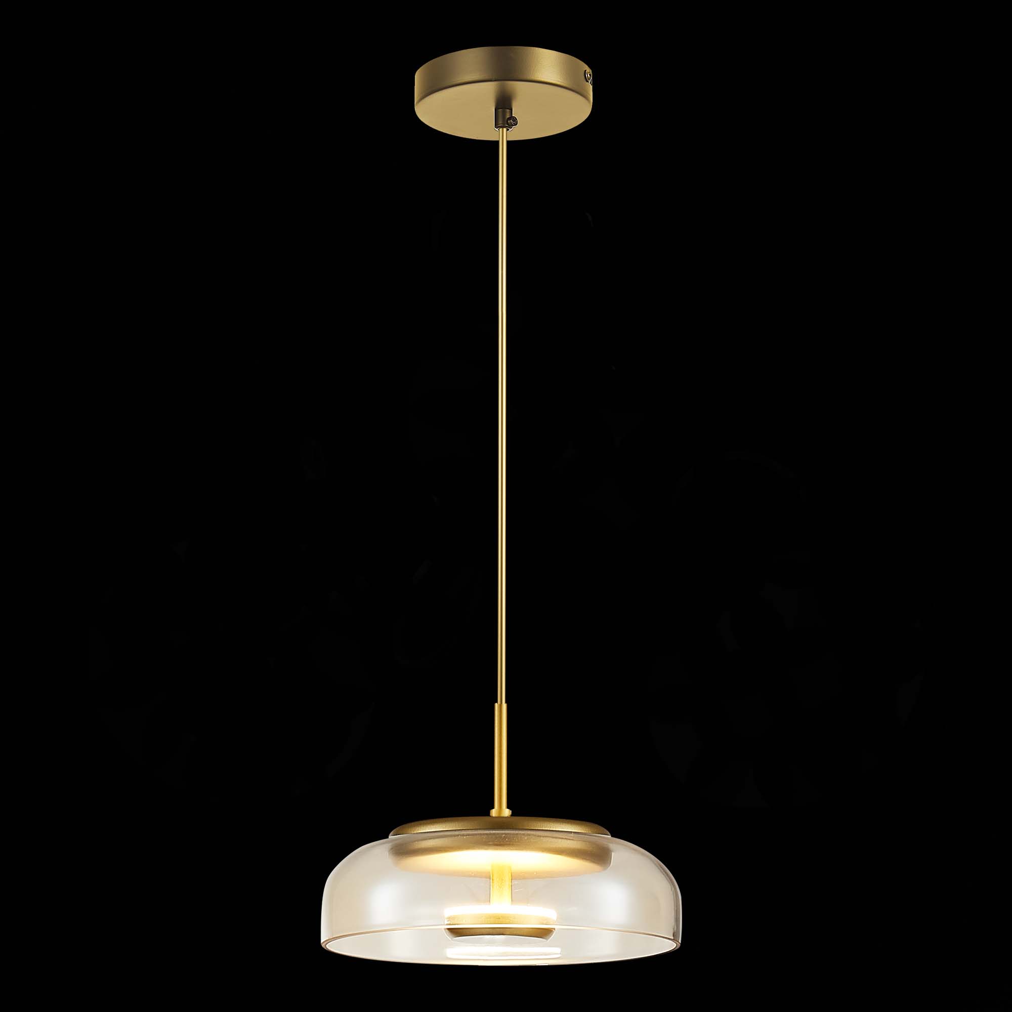 Подвесной светильник ST Luce LAZIO SL6002.203.01