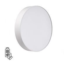 Настенно-потолочный светильник Sonex OPTIMA 7779/DL_Sonex