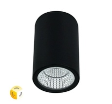 Уличный потолочный светильник ArteLamp A1307PF-1BK