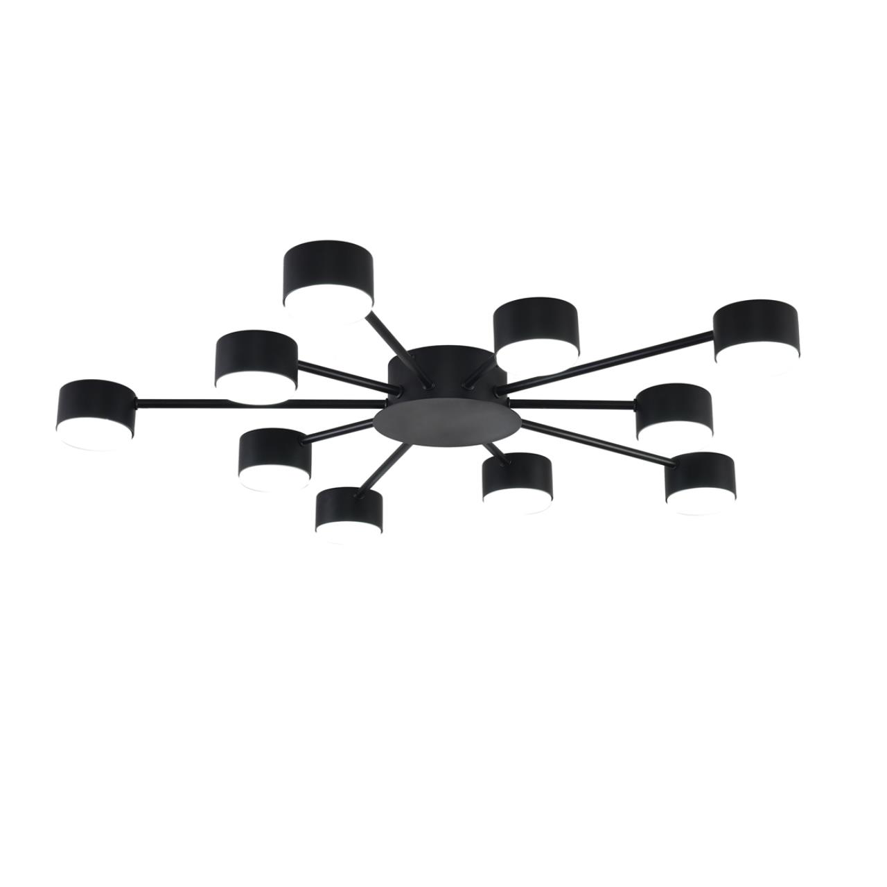 Потолочная люстра LUMION TORINA 8344/10C