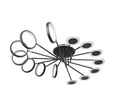 Потолочная люстра Loft IT Megan 10164L Black_LF