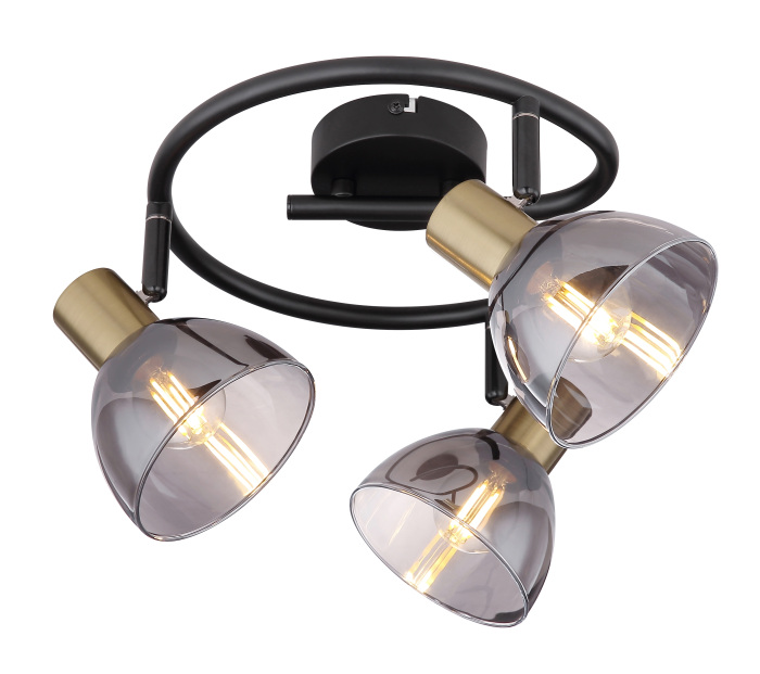 Спот Globo Jay 54305-3_GL