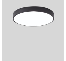 Настенно-потолочный светильник TopDecor Union P2 12