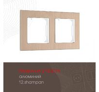 Рамка из алюминия на 2 поста Arte Milano 503.12-2.shampan