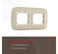 Рамка из поликарбоната на 2 поста Arte Milano 505.05-2.shampan