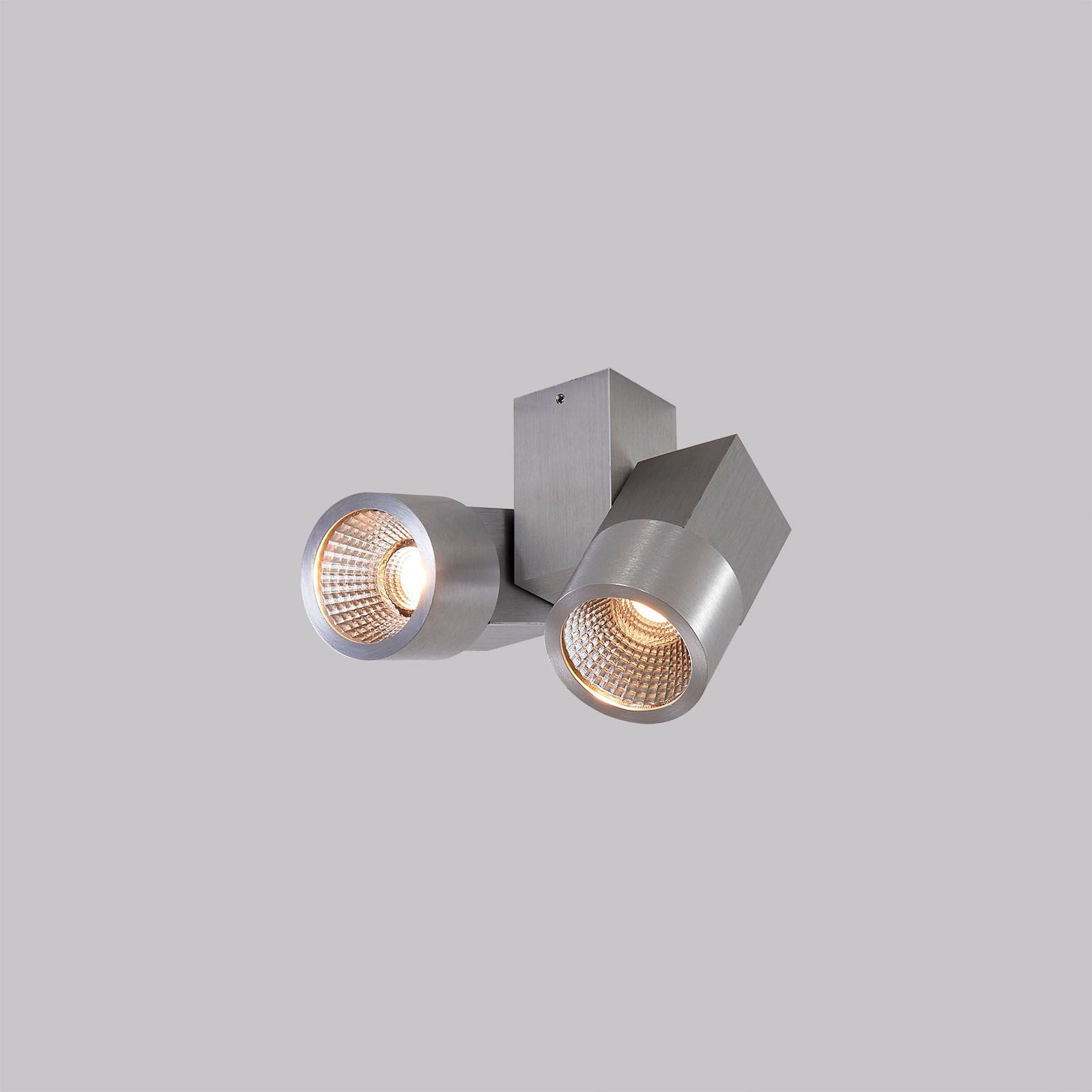 Спот CitiLux Дубль CL556101