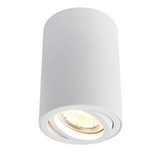 Накладной светильник ArteLamp SENTRY A1560PL-1WH