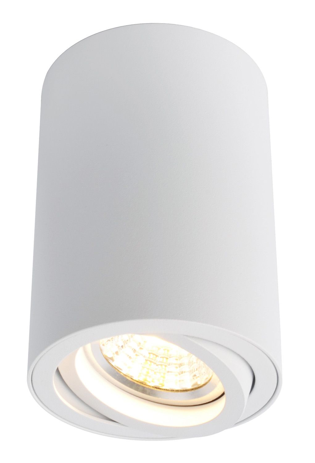 Накладной светильник ArteLamp SENTRY A1560PL-1WH