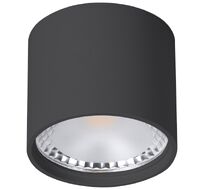 Светильник накладной Wertmark WTA WTA.O02.607.V0.07