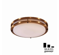 Потолочный светильник CitiLux Бостон CL709323N