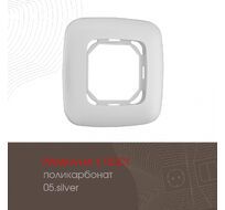 Рамка из поликарбоната на 1 пост Arte Milano 505.05-1.silver