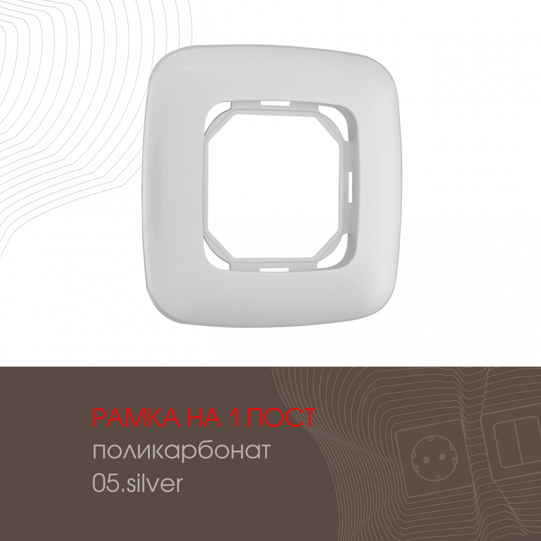 Рамка из поликарбоната на 1 пост Arte Milano 505.05-1.silver