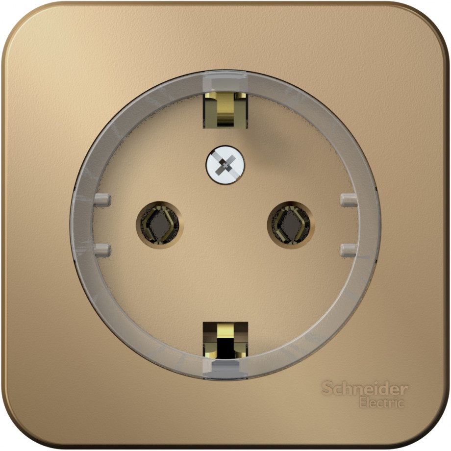 Розетка накладная с заземлением (титан) Systeme Electric BLNRA110114