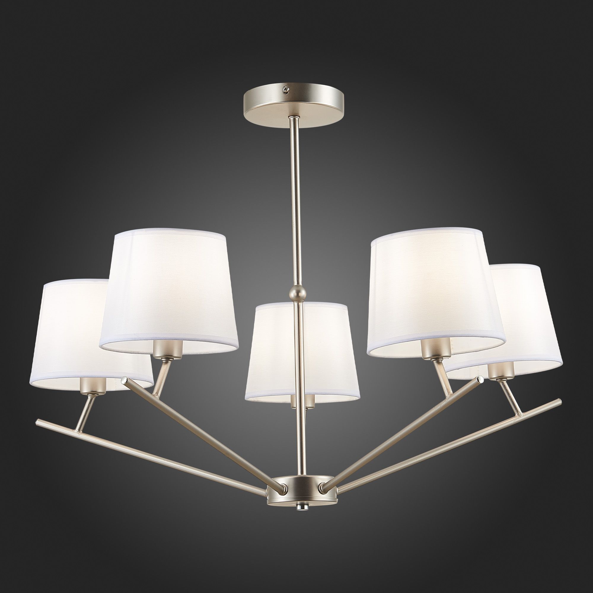 Потолочная люстра Evoluce DENICE SLE300102-05